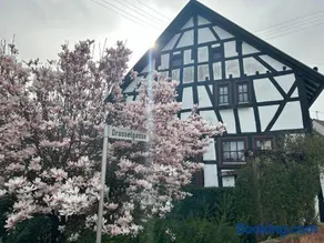 Das Pautzen Haus - Image 2