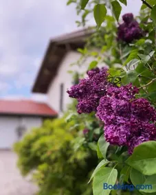 Architekten-Villa, moderne 220qm, 4 Schlafzimmer, Garten - Image 1
