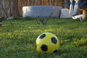 Filich Home Experience - Image 3