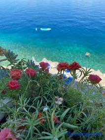 Seafront Vacation home "Tea" - Image 3