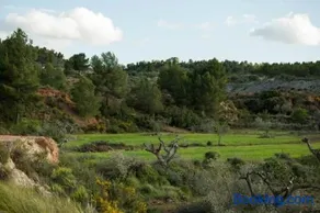 Masseria totalmente attrezzata con terrazza, piscina e barbecue | Vista sul giardino | Sono ammessi animali domestici - Image 2