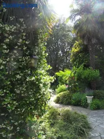 Cuore Verde - Image 3