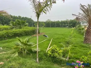 Rocopie Farm - Image 2