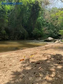 Fazenda Santa Cecília - Image 5