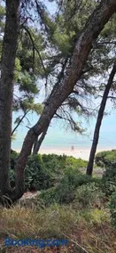 Sunny Seaside Villa-90 m from beach - Image 1