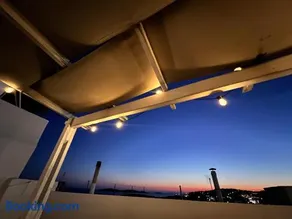 White & Blue - Image 4