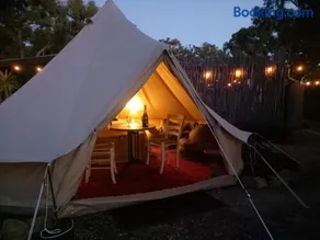 Macedon Ranges Glamping with kangaroos - Tent - Image 1