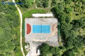 Demare - Image 5