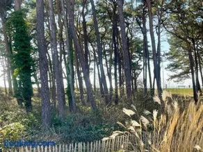 Bungalow am Meer - Image 2
