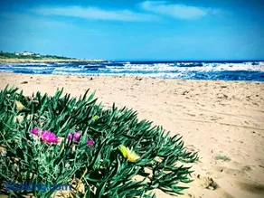 Blue Sea Apartment - Image 1