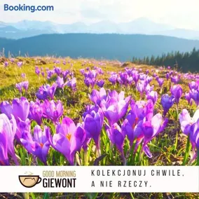 Good Morning Giewont & JACUZZI - Image 3