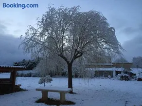 Bamboo - Image 1