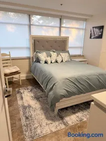 Newly Renovated Downtown Roanoke Apartment with Queen Bed & FREE Parking - Image 3