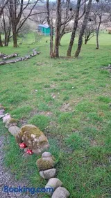 Wooly Huts Green - Image 3