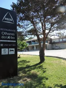 Olhares do Lobo - Image 4