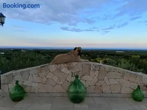 B&B Antico Carrubo - Image 3