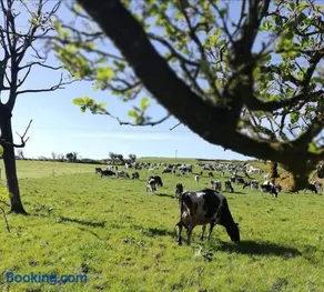 Muckruss Lodge Clonakilty An Oasis of Tranquility - Image 3