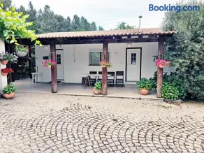 Casa das Aveleiras - Sátão - Image 3