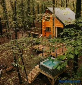 Private Forest Cabin with Hot Tub - Image 1