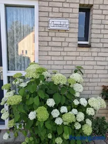 Heerlijke recreatiewoning op een geweldige plek - Image 2
