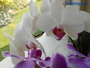 B&B Rosalu - Adults Only - Image 1