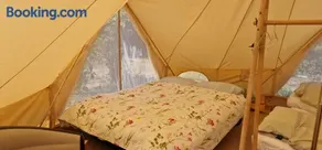 Koppány Pines - Bell Tent B & B Rooms - Image 2