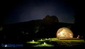 Forrest Glamp - Image 1