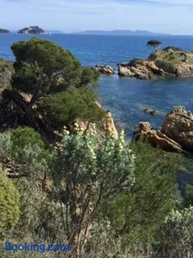 Ecrin de verdure sur Le Lavandou - Classement Tourisme 3 Etoiles - Image 2