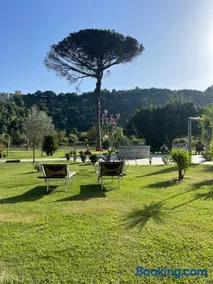 Tenuta calidarius - Image 3