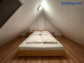 Hospoda-Ferienhaus am Olba-See - Image 1