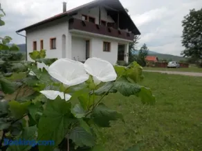 Guesthouse Matija - Image 1