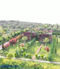 Wooden Luxury Villas - Image 1