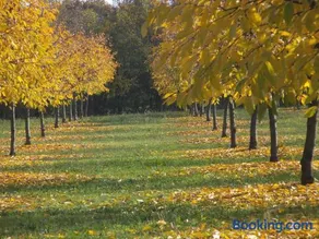 Alloggio Cantalupo - Image 4