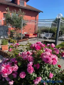 Villa Lilli Beta Bella - Appartamento Rosso Whispering Vines - Image 1