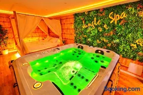 JUNGLE SPA-4 Pers-Jacuzzi-Parking-Jardin-Clim-Colmar - Image 1