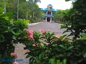 Paradise Forest Resort - Image 3