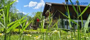 Appartamento accogliente e familiare con terrazza, griglia e giardino - Image 1