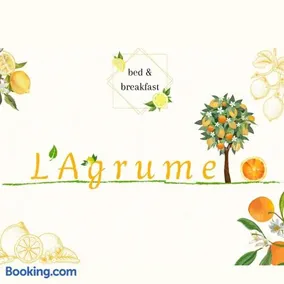 B&B L'agrumeto - Image 2