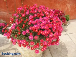 B&B La Cigaline - Image 2