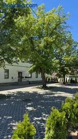 VE Apartments Colbitz - Image 3