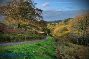 Birdsong Lodge - Image 5