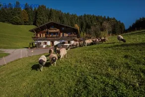 Bauernhof Mühltalhof - Image 1