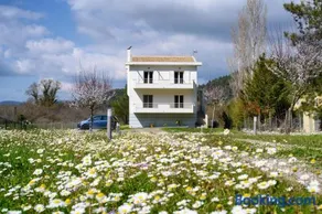 Aliki`s Luxury Suite with view, pet friendly! - Image 1