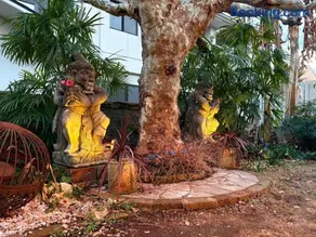 Casa di acero - Image 3