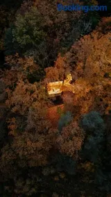 La Cabane dans les arbres du Domaine de la Forestière - Image 3