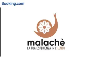 Malachè - Image 4