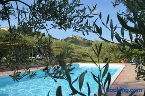 Agriturismo Il Monte - Piscina tra gli Ulivi, Maneggio con Cavalli e WIFI - Image 1