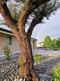 ALMA Guest House - Image 4