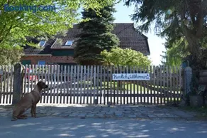 Alpakatherapie und Ferienhof Charlottenthal - Image 3