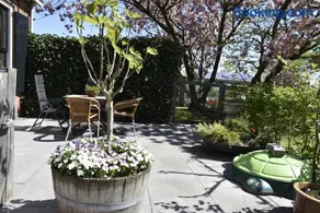 Bed en Breakfast Panamera - Image 2